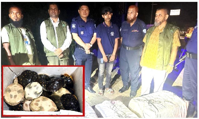 কুমিল্লায় দেশী বিদেশী বিরল প্রজাতির ৪৫টি “কাছিম” উদ্ধার, আটক ১